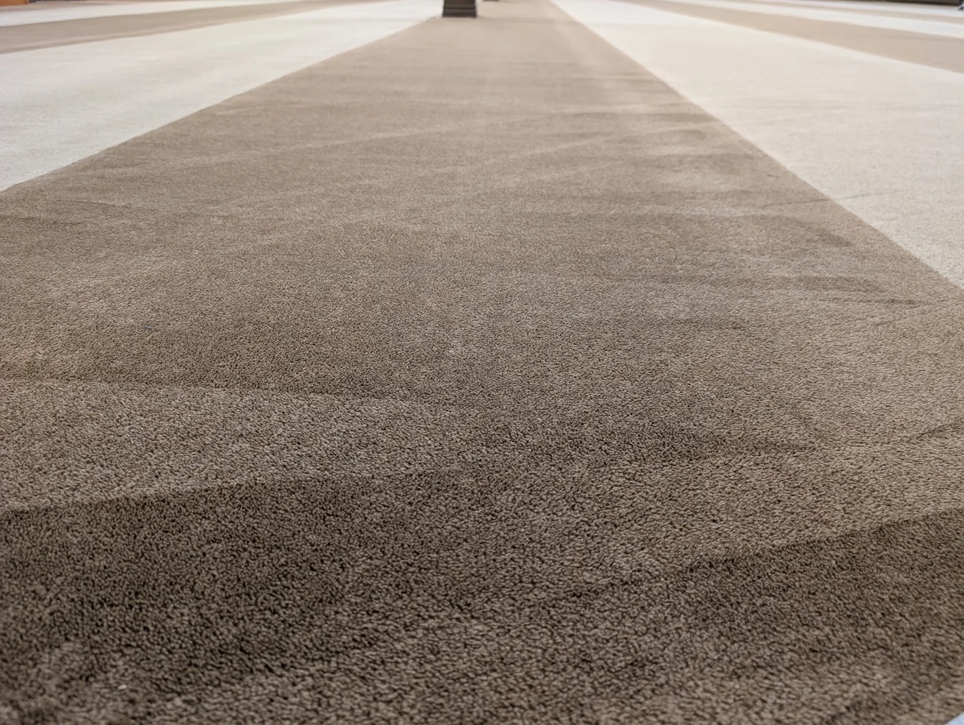 Close view of grooming tracks on carpet
