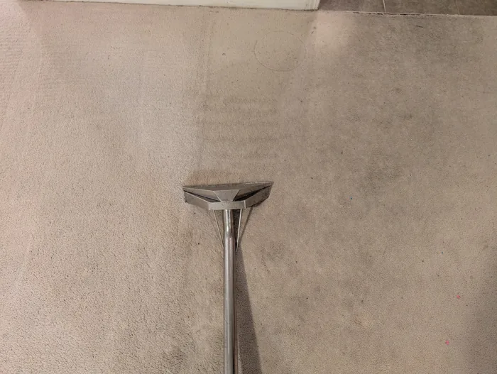 Carpet extraction wand beside visible carpet marks