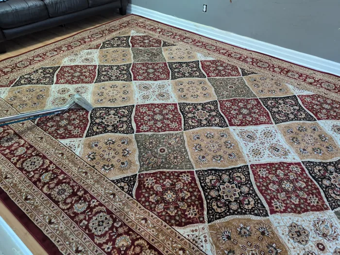 Extraction wand on a multicoloured patterned area rug