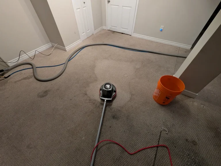 Marked carpet with cleaning bucket and hoses