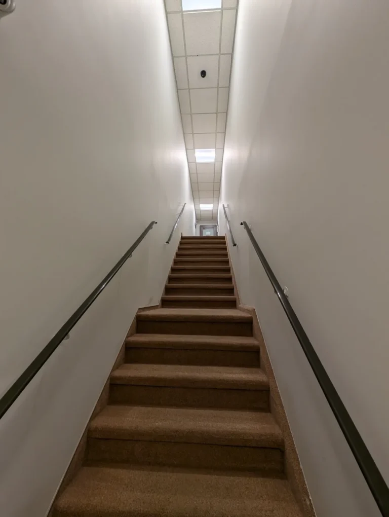 Carpeted staircase with handrails